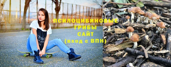 марки nbome Новозыбков